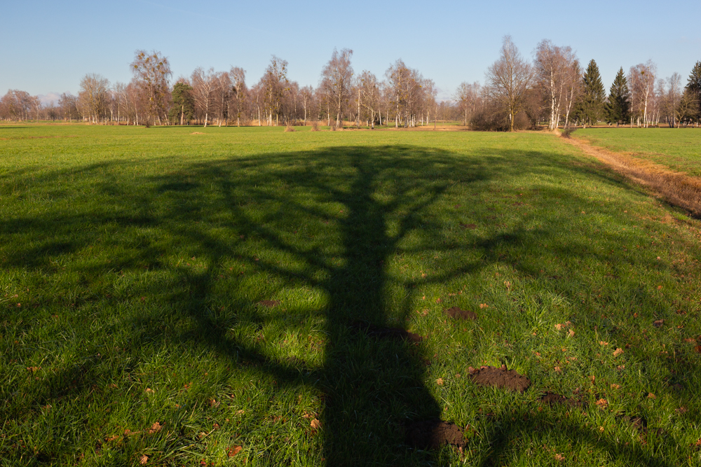 Lauteracherried im Jänner 11